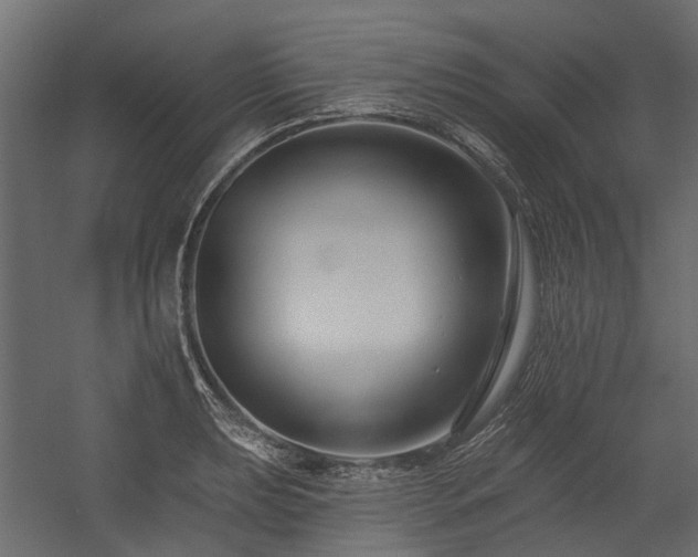 X0000054381039200507291112