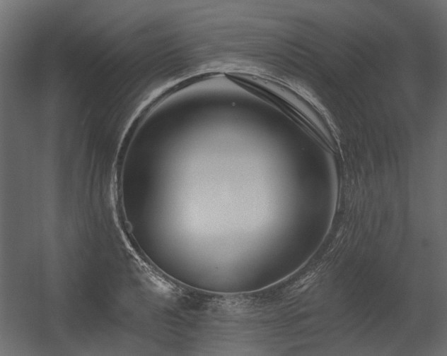 X0000054381040200507291112