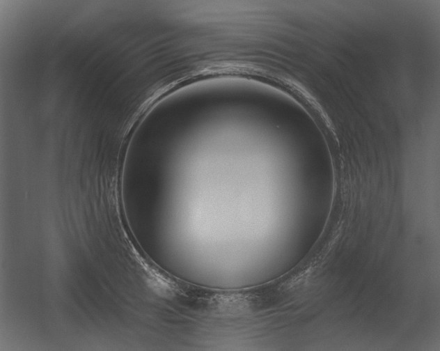 X0000054381041200507291112