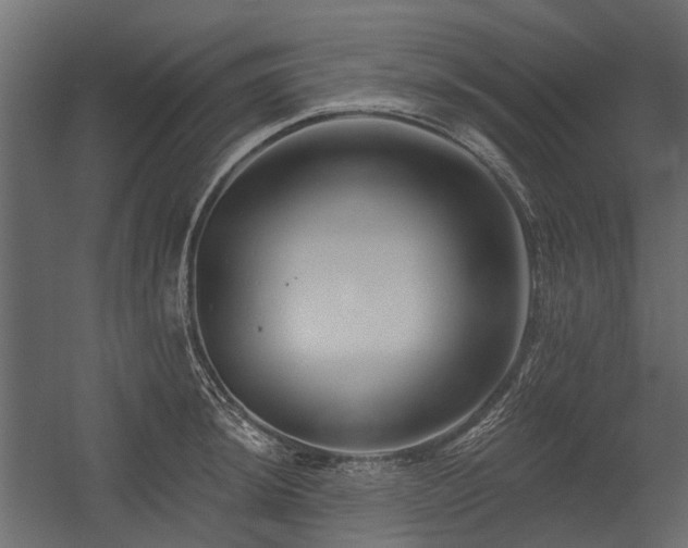 X0000054381044200507291112