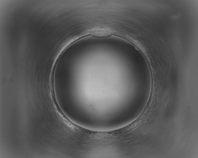 X0000054381056200507291112