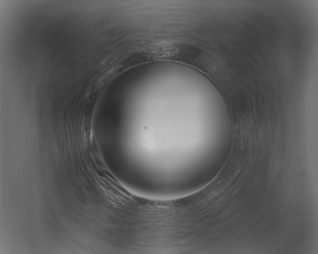 X0000054381058200507291111
