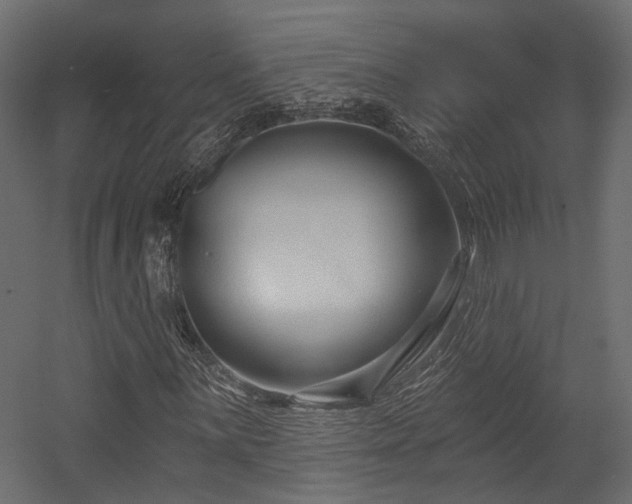 X0000054381059200507291111