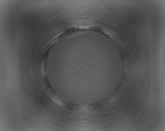 X0000054381060200507291111
