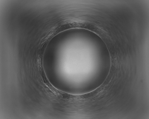 X0000054381061200507291111