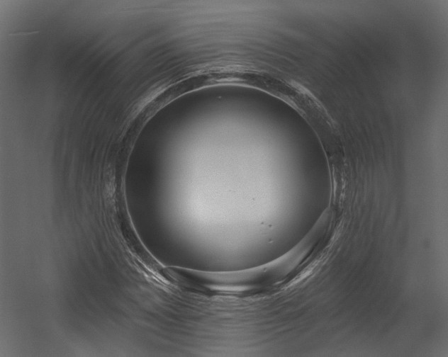 X0000054381065200507291111