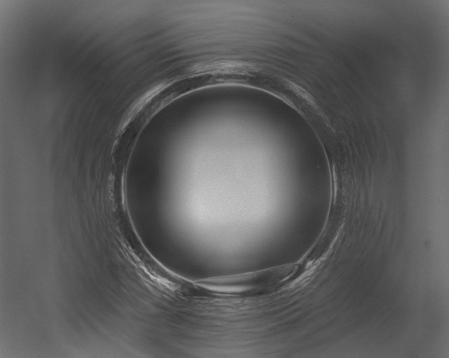 X0000054381066200507291111