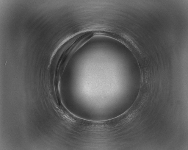 X0000054381069200507291111