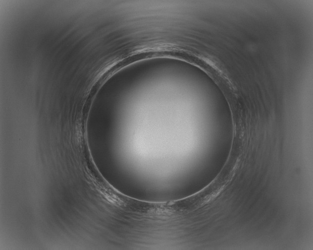 X0000054381073200507291111