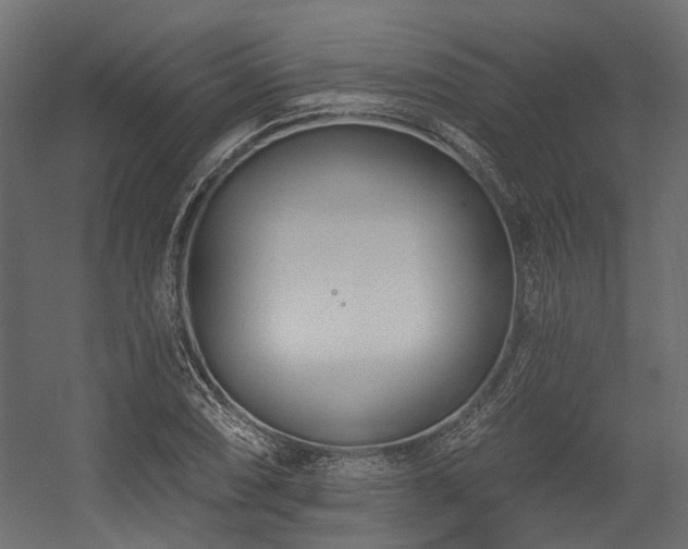 X0000054381074200507291111
