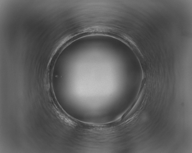 X0000054381075200507291111