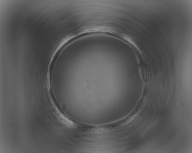 X0000054381079200507291111