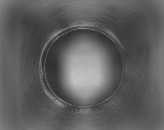 X0000054381080200507291111