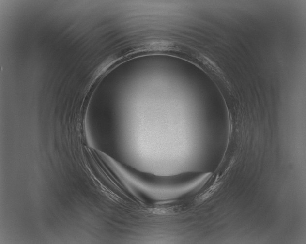 X0000054381081200507291111