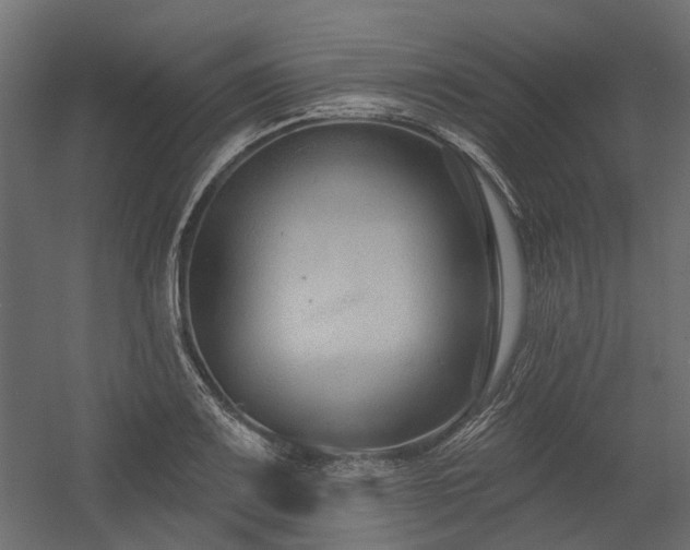 X0000054381083200507291111