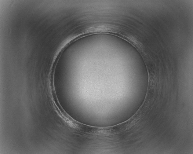 X0000054381086200507291111