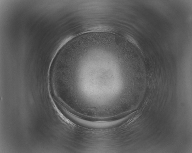X0000054381087200507291111