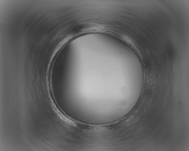 X0000054381090200507291111