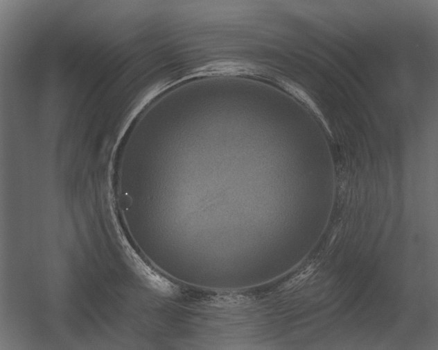 X0000054381091200507291111