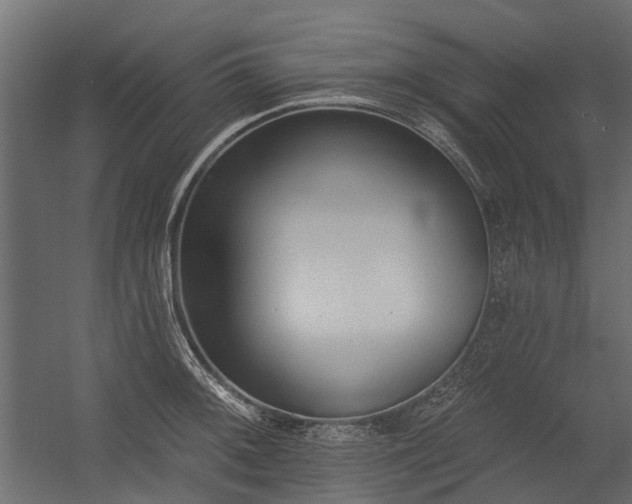 X0000054381092200507291111