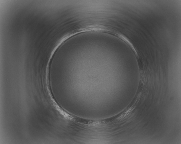 X0000054381099200507291111