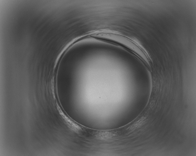 X0000054381100200507291111
