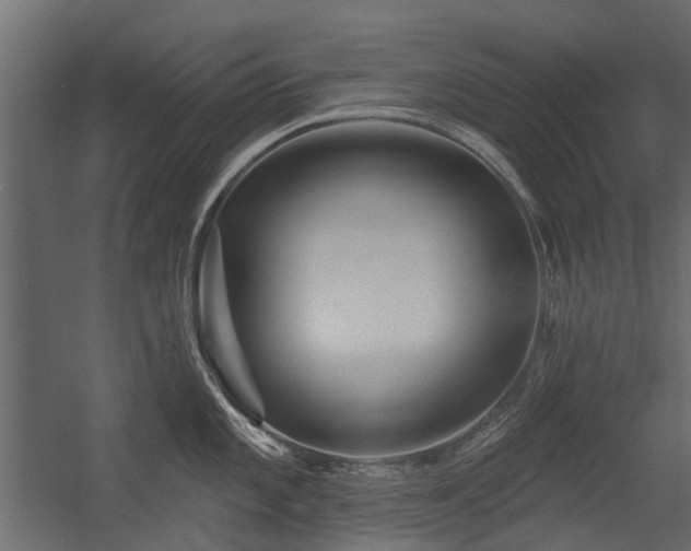 X0000054381101200507291111