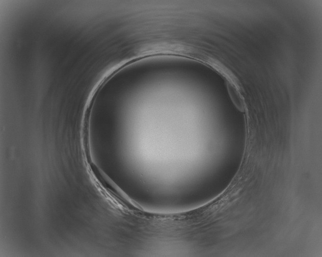 X0000054381104200507291111
