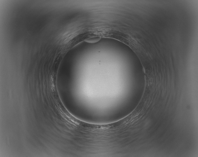 X0000054381106200507291110