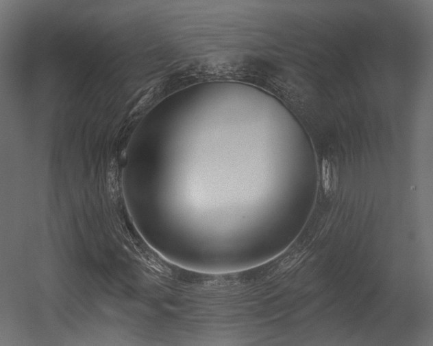 X0000054381107200507291110