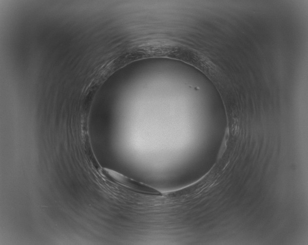 X0000054381108200507291110