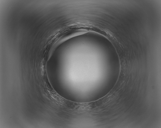 X0000054381110200507291110