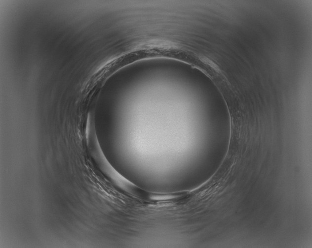 X0000054381112200507291110
