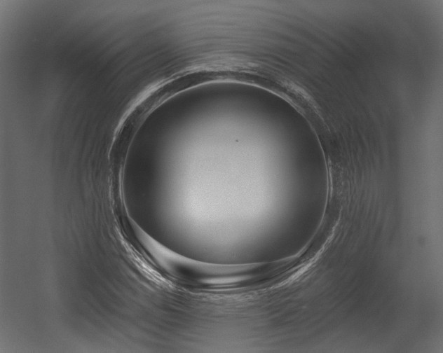 X0000054381114200507291110