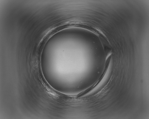 X0000054381115200507291110