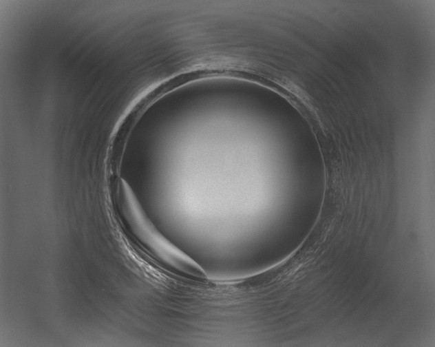 X0000054381120200507291110