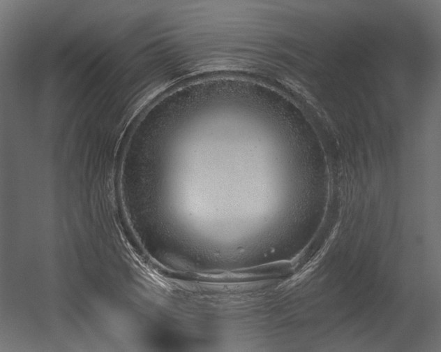 X0000054381121200507291110
