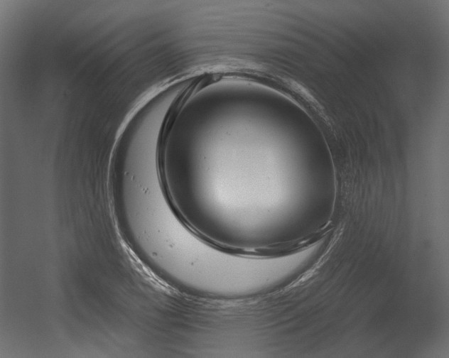 X0000054381122200507291110