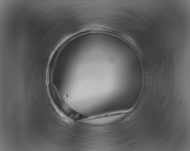 X0000054381128200507291110