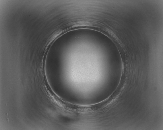 X0000054381129200507291110