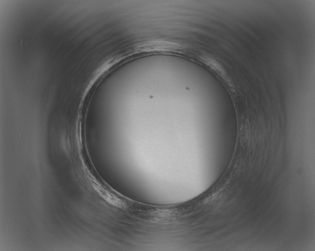 X0000054381130200507291110