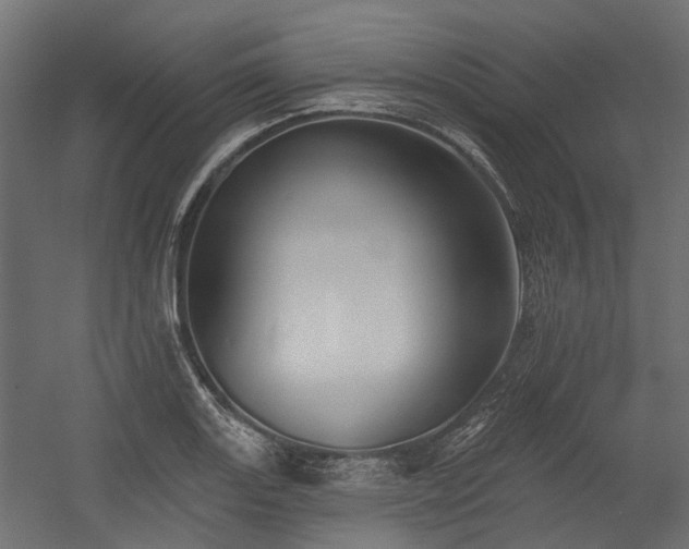 X0000054381131200507291110