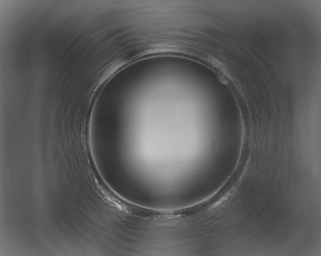 X0000054381137200507291110