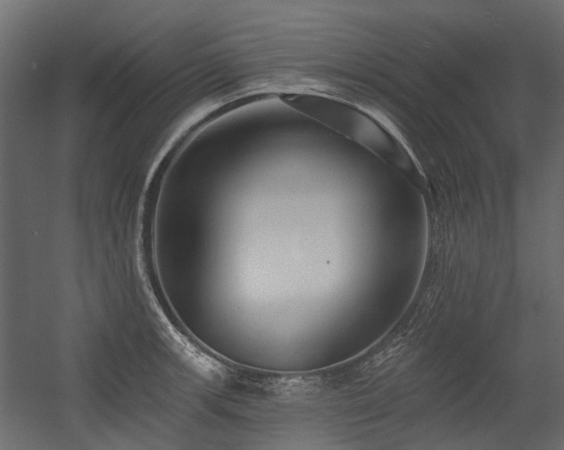 X0000054381139200507291110