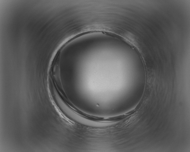 X0000054381144200507291110