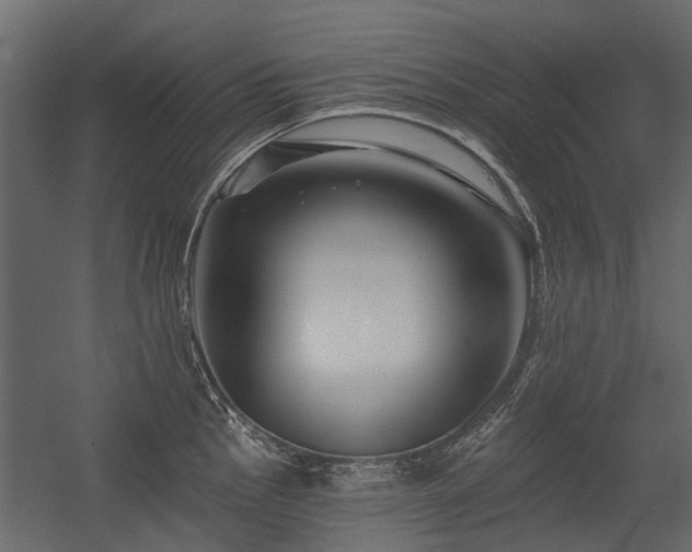 X0000054381145200507291110