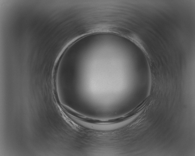 X0000054381148200507291111
