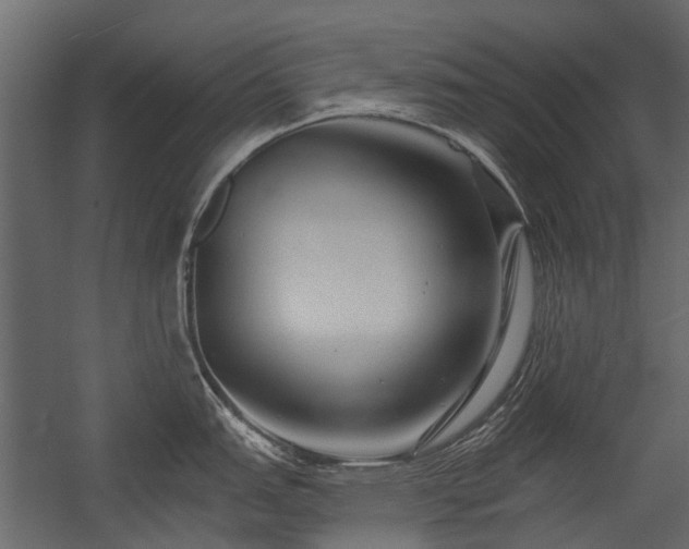 X0000054381151200507291111