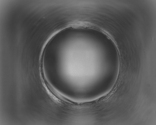X0000054381152200507291111