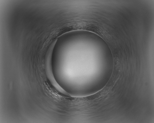 X0000054381153200507291110